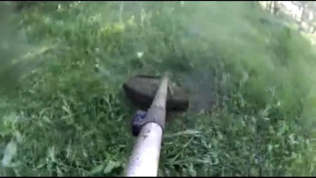 Борьба с сорняками