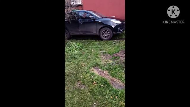 Первое знакомство