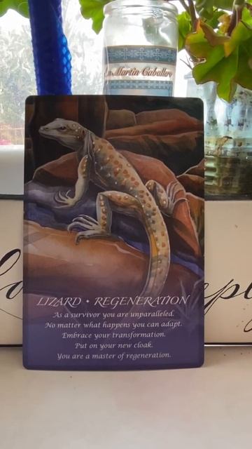 LIZARD MEDICINE | Change is natural (So is resisting change 🙃) | Tarnished Angel Tarot #Shorts 🦎 ❤️