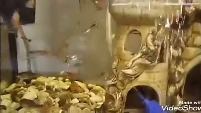 Хочи Мирзо дар бораи мохи