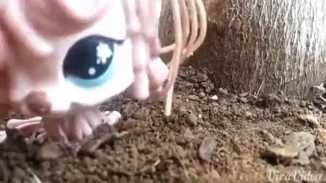 Lps MV Willow (First video!!)