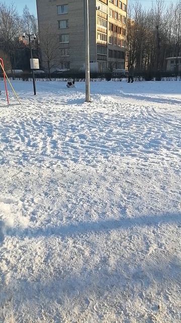 "Любимые" бесповодочники.