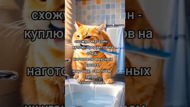 Поздравление с 8 марта от Барсика