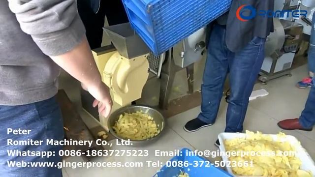 Профессиональная машина для резки имбиря на продажу