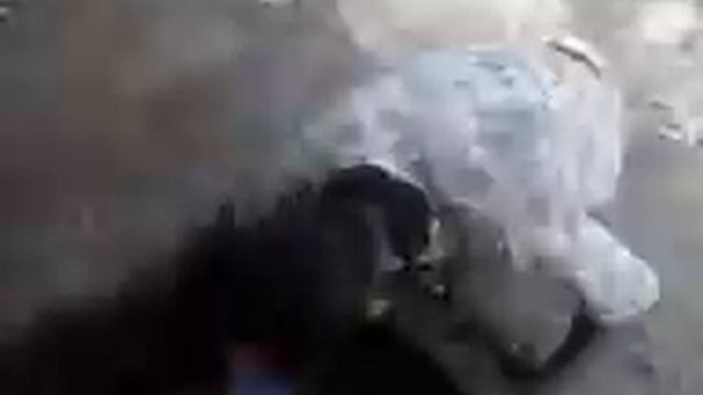 Прикол  У колодца
