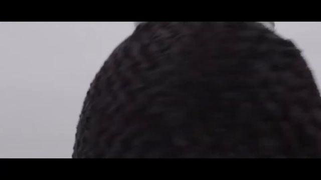 Обезьяна и орёл клип