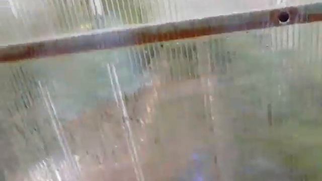 Мы с Соей на даче