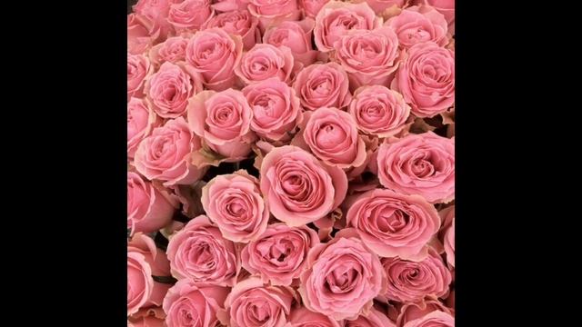 С Международным Женским днём 💐