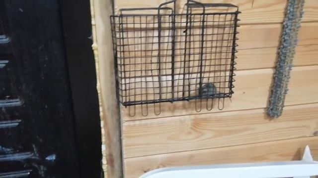 Маленькие вредители нас окружают