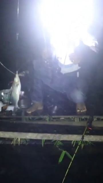 Dapat ikan sanggiringan saat #fishing
