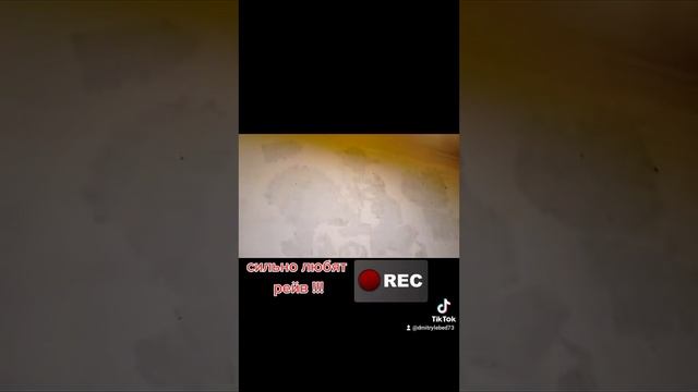 сильно любят рейв !!!!