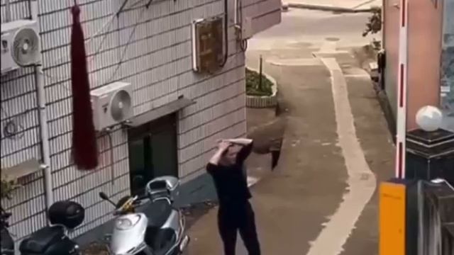 восстание шлагбаума