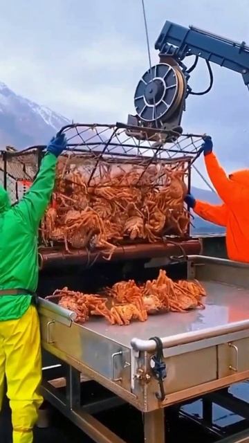 The Incredible Transformation of King Crab #crabfishing #crabpasta #finedining