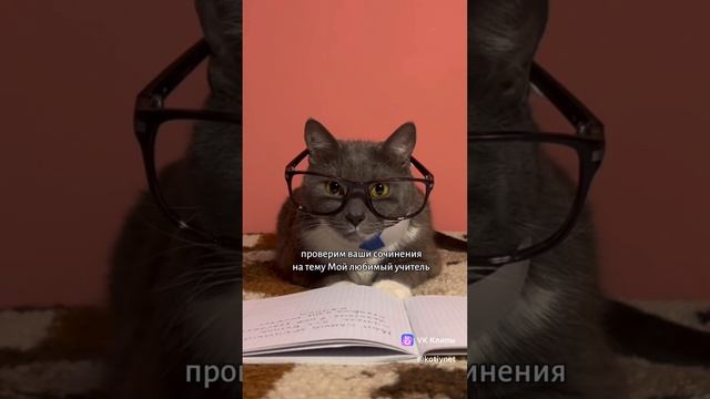 Сборник серий kotiynet