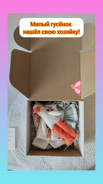 Милый гусёнок нашел свою хозяйку!