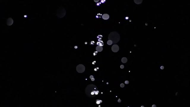 TOTO SURPRISE THE WORLD