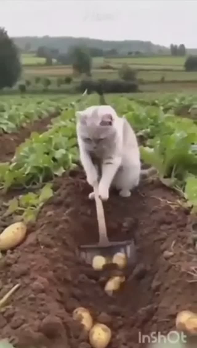 И так бывает😂😂😂