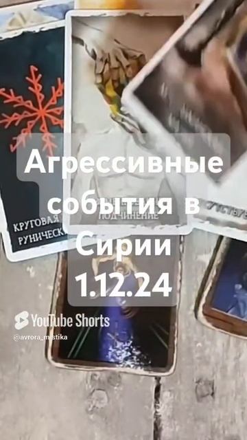 Видео WhatsApp 2025-03-07 в 15.24.26_74351fa5