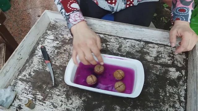 Грек жаңғағы көшетін дайынду. 1.тəсіл