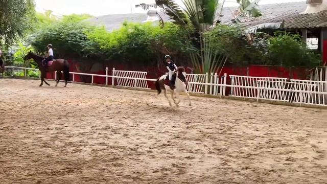 Show Jumping practice with Amethyst