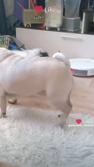 Like_7471535640605520964.mp4