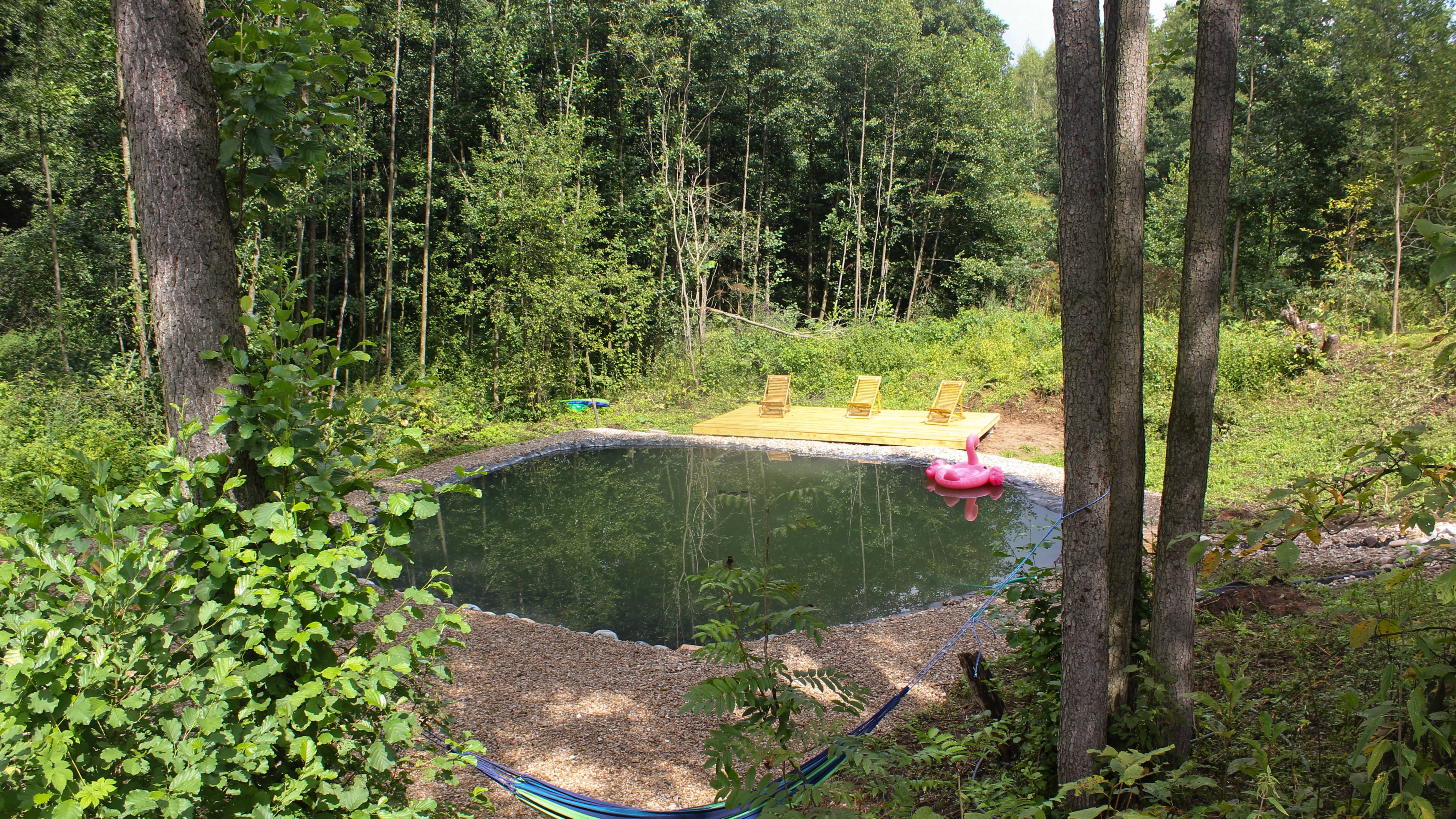 Пруд в "Хвойном парке"💦🏊