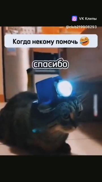 1000039494.mp4