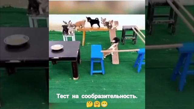 Кто сообразил - тот и поел .🤣