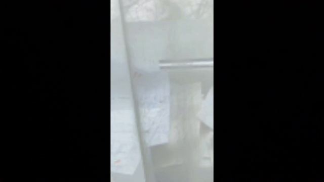 красная плесень диско 90-ы-х 1 сезон 1 серия музыкальная история