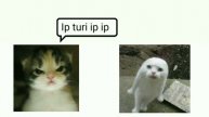 turi ip ip ip VS oh ah oh oh ai ai Epic rap battle