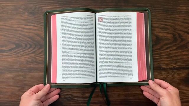 Schuyler ESV Treveris – Full Bible Review