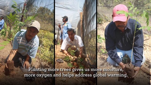 Climate-Friendly Coffee Farming in Oaxaca