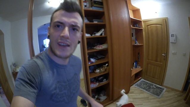 Адская кошка, или Котик по-вызову
