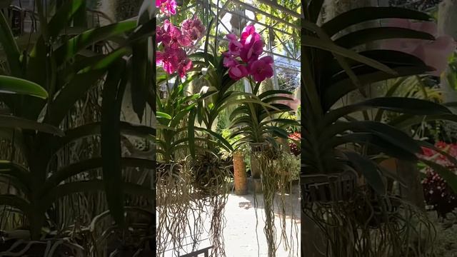 copy_C96596CB-58C3-41D5-A641-6A84D6A3850E