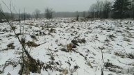 19.12.2019г. Коп. - 88 серия. Шурф в деревне🏚️ где останавливался Михаил Васильевич Ломоносов👨🎓