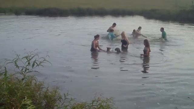 playing with the jaguars in the water