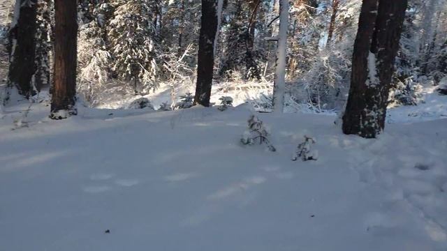 Искрящаяся роскошь дворца Снежной Королевы🙂