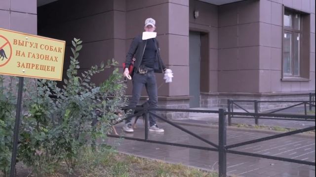 Гуляй с друзьями правильно