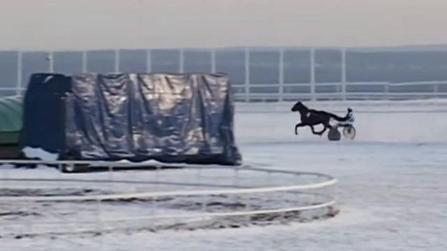 16 Декабря 2017   5 Заезд Открытый приз