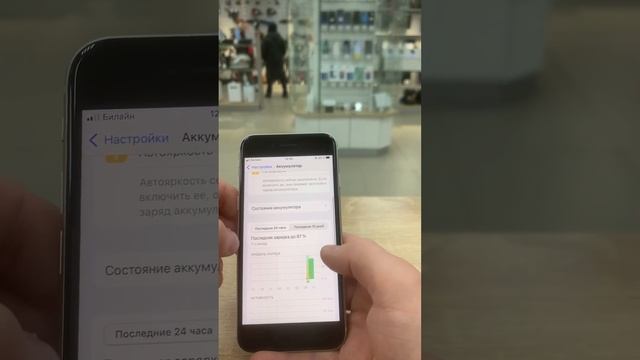 31 января 2024 г.