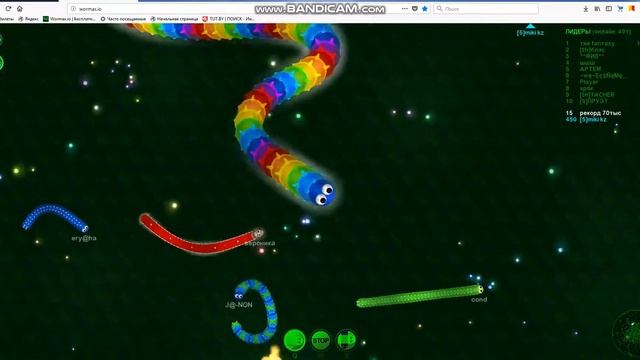 Wormax.io 6 место!!!!!Tima Live........