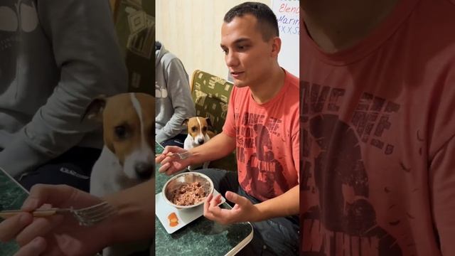 Вопрос дня