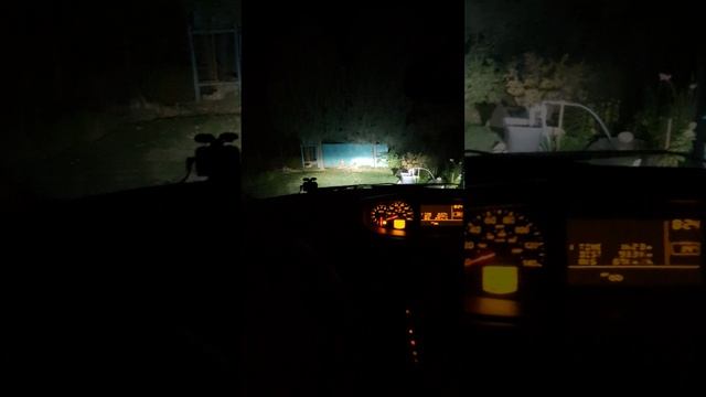 1000008056.mp4