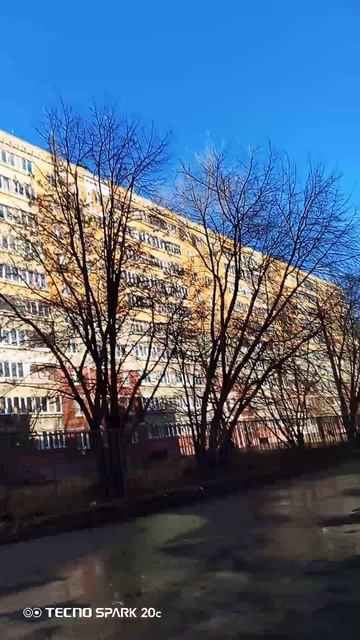 с 8 марта.