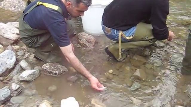 6 june 2008 macro invertebrates 174