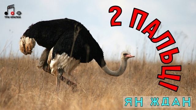 Оповідання українською "Два пальці"/ Ян Ждан, Студія: Три Крапки #оповідання  #аудіокниги  #янждан