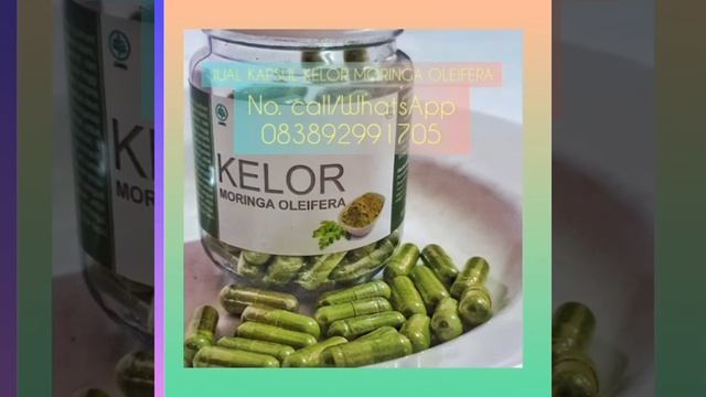 jual  bubuk moringa