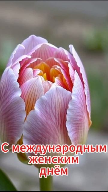 На 8 марта