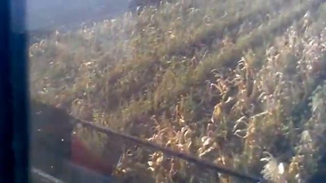 OxlamoN и Archa на уборке часть 2 2012