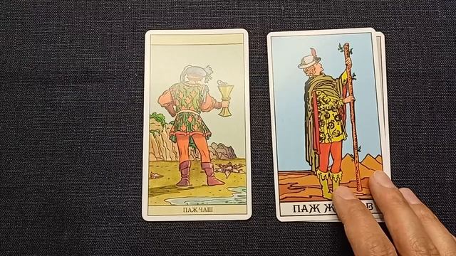Паж Чаш. Описание значений младшего аркана таро колоды Нью Вижн.